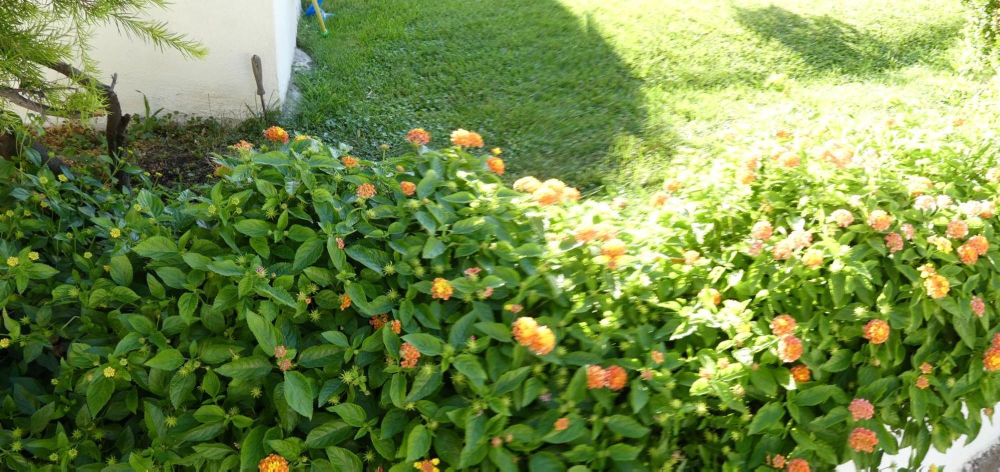 B&B Oliena Ngoại thất bức ảnh