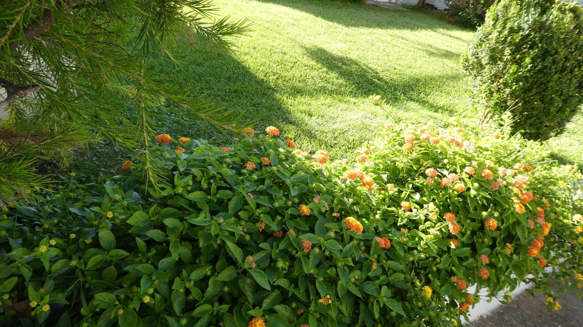 B&B Oliena Ngoại thất bức ảnh